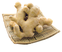 高知県産 昔の大地 生姜 70g