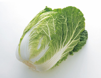 白菜