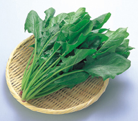 ほうれん草