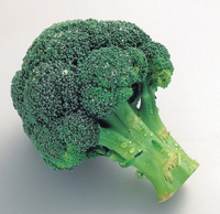 ブロッコリー