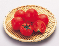 トマト 小玉パック