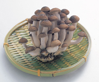 ブナシメジ　ジャンボパック