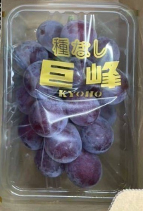季節限定商品 種なし巨峰パック 1パック